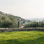 Albatros *