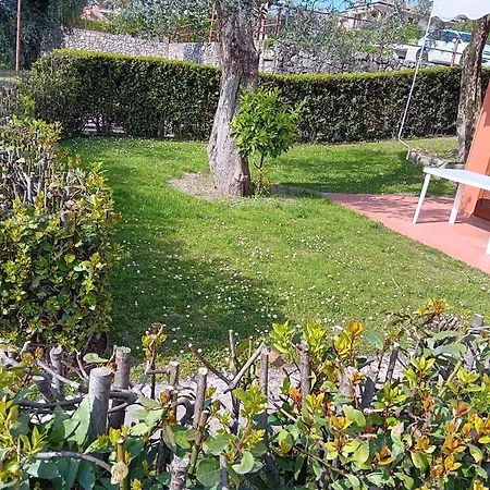 Albatros Apartament