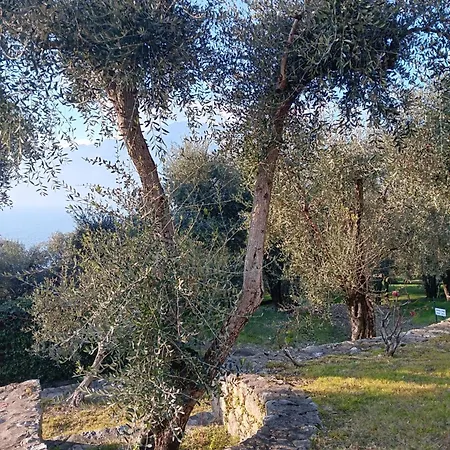 Apartament Albatros