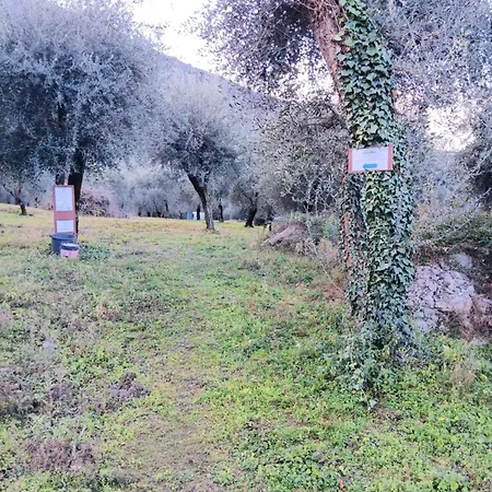 Albatros Apartament *