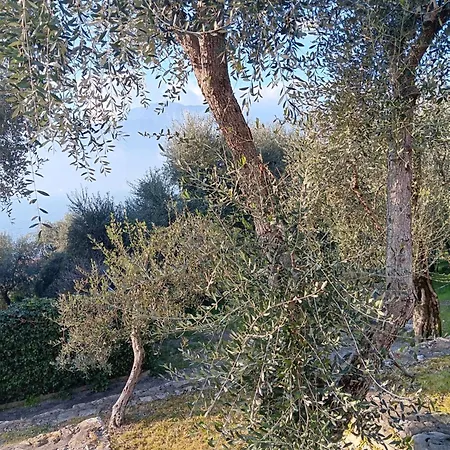 Apartament Albatros Brenzone sul Garda