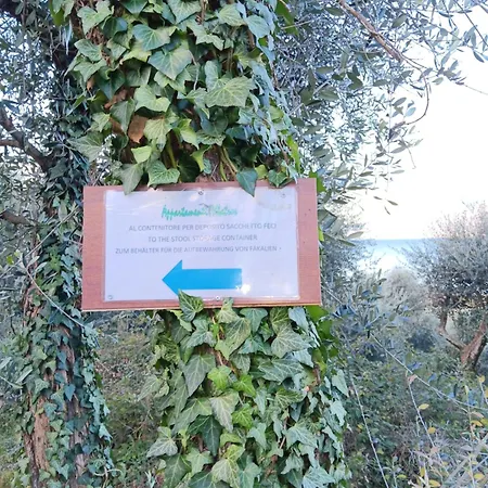 Albatros Apartament *