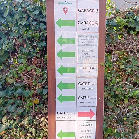 Apartament Albatros *