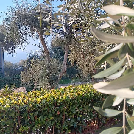 Apartament Albatros Brenzone sul Garda