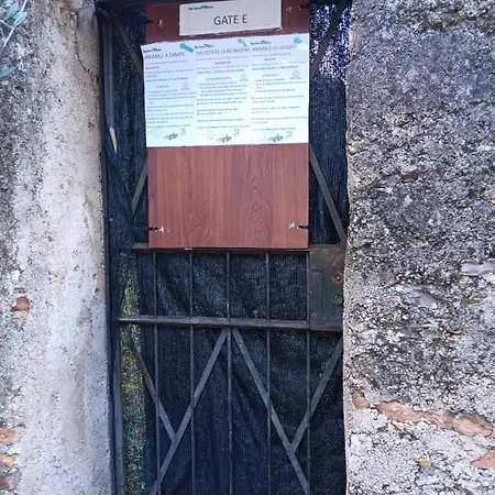 Albatros Apartament *