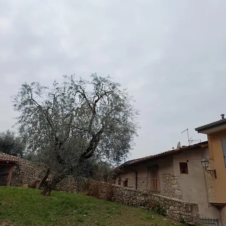 Albatros Apartament