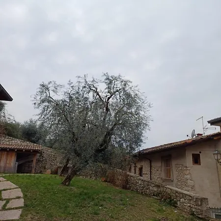 Apartament Albatros Brenzone sul Garda