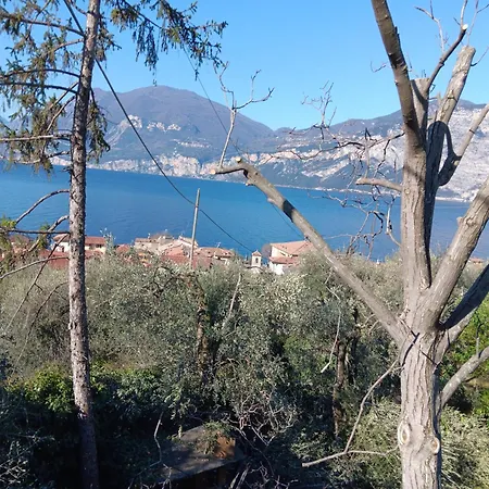 Apartament Albatros