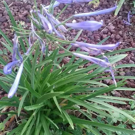 Albatros Lejlighed Brenzone sul Garda