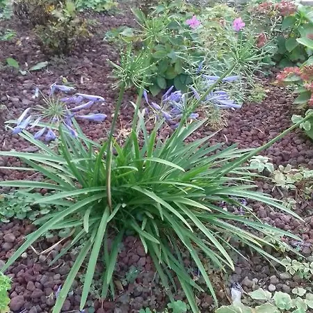 Albatros Апартаменты Бренцоне-суль-Гарда