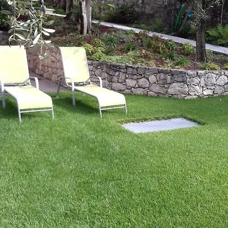 Апартаменты Albatros *